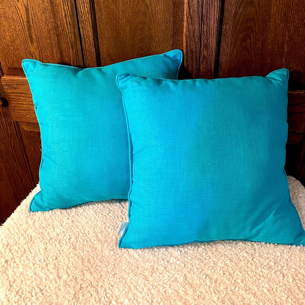 2 indoor/outdoor pillows